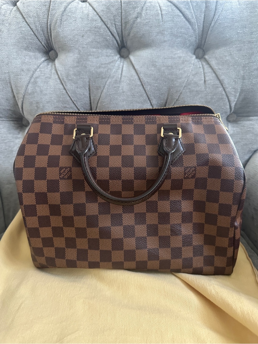 Louis Vuitton Damier Ebene Speedy 30
